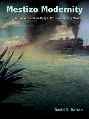 cover image of Mestizo Modernity
